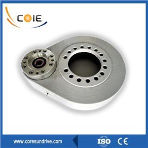 Spur Gear Slewing Drive